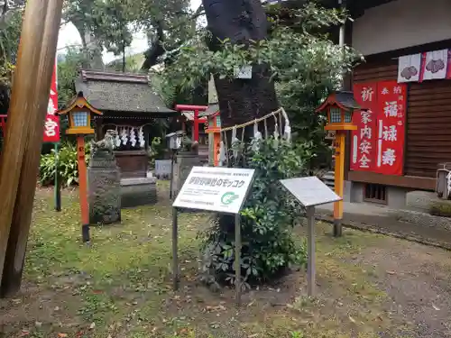 伊砂砂神社の本殿