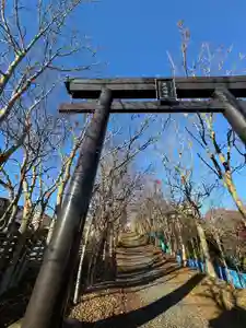 釧路一之宮 厳島神社の鳥居(2024年11月09日(土) 20時17分48秒投稿)