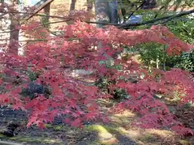 榊神社(新潟県)