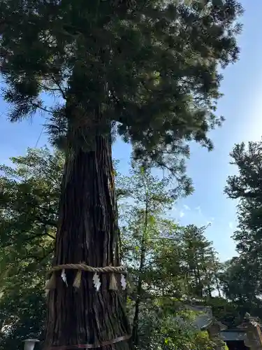 香取神宮(千葉県)