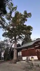 杵築神社(奈良県)