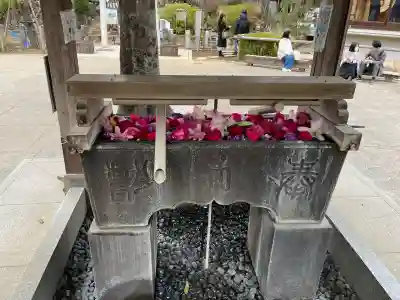 鳩森八幡神社の{uncategorized: "未分類", other: "その他", undefined: "問題あり", building: "その他建物", grave: "お墓", sacred_gate: "鳥居", guardian: "狛犬", statue: "像", buddha: "仏像", history: "歴史", nature: "自然", garden: "庭園", animal: "動物", pagoda: "塔", temizu: "手水舎", mountain_gate: "山門・神門", sanctuary: "本殿・本堂", subordinate: "末社・摂社", art: "芸術", scenery: "景色", jizo: "地蔵", ema: "絵馬", goshuin: "御朱印", omikuji: "おみくじ", items: "授与品その他", amulet: "お守り", goshuincho: "御朱印帳", eats: "食事", festival: "お祭り", votive_dance: "神楽", shichigosan: "七五三参", wedding: "結婚式", experience: "体験その他", initially: "初詣", around: "周辺", anti_infection: "感染症対策"}