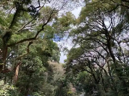 明治神宮の自然