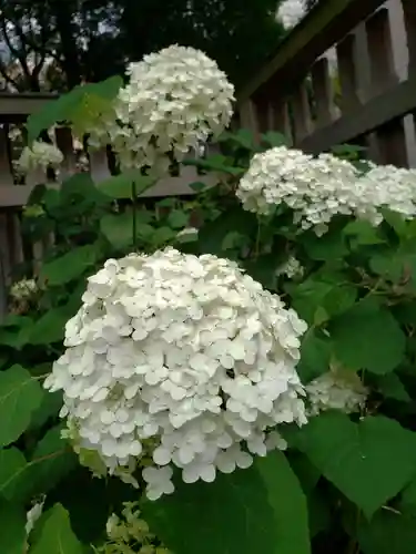 熊野神社(東京都)