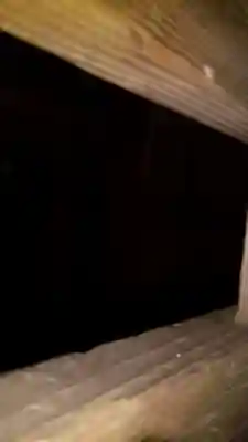 神社(名称不明)(茨城県)