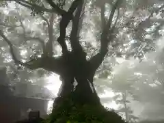 熊野皇大神社(長野県)