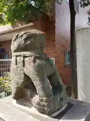 穏田神社の狛犬