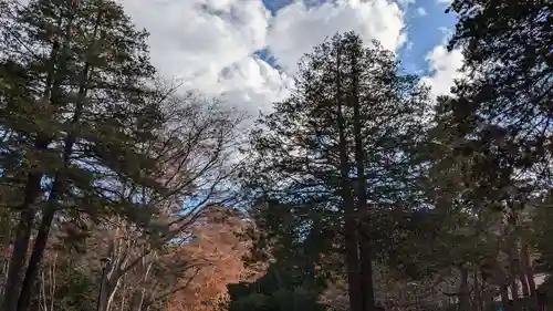 北海道神宮の自然