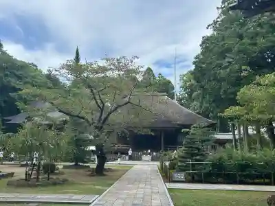 國分寺(高知県)