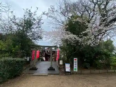 鎌数伊勢大神宮の{uncategorized: "未分類", other: "その他", undefined: "問題あり", building: "その他建物", grave: "お墓", sacred_gate: "鳥居", guardian: "狛犬", statue: "像", buddha: "仏像", history: "歴史", nature: "自然", garden: "庭園", animal: "動物", pagoda: "塔", temizu: "手水舎", mountain_gate: "山門・神門", sanctuary: "本殿・本堂", subordinate: "末社・摂社", art: "芸術", scenery: "景色", jizo: "地蔵", ema: "絵馬", goshuin: "御朱印", omikuji: "おみくじ", items: "授与品その他", amulet: "お守り", goshuincho: "御朱印帳", eats: "食事", festival: "お祭り", votive_dance: "神楽", shichigosan: "七五三参", wedding: "結婚式", experience: "体験その他", initially: "初詣", around: "周辺", anti_infection: "感染症対策"}