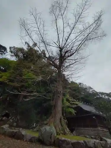 安房神社の自然