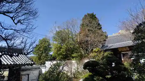 霊源院(京都府)