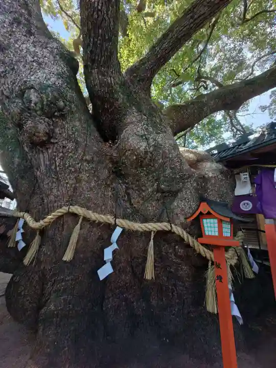 三島神社(大阪府)