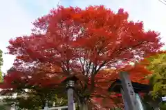 土津神社｜こどもと出世の神さまの自然