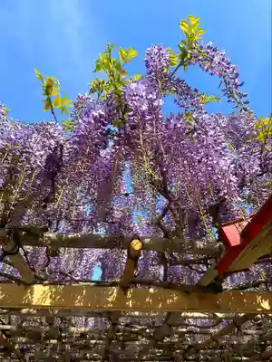金蛇水神社(宮城県)