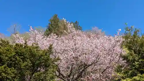 金刀比羅神社(北海道)