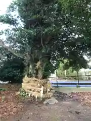 多氣神社の建物その他