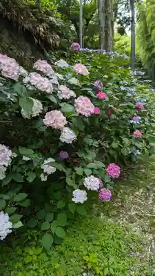 正法寺(京都府)