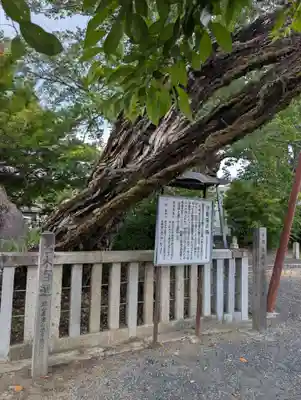 高野神社(岡山県)