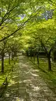 呑山観音寺(福岡県)