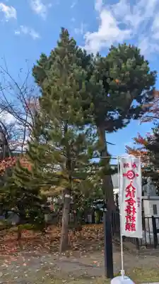 烈々布神社の自然