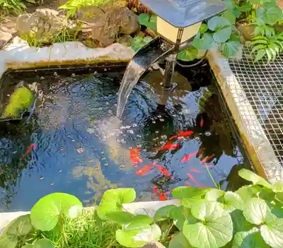 本法寺(東京都)