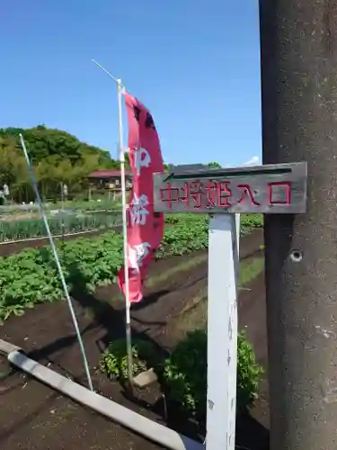 中将姫(神奈川県)