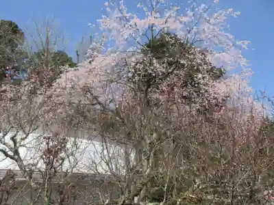 松尾寺(京都府)