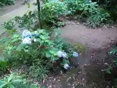 下野 星宮神社の自然