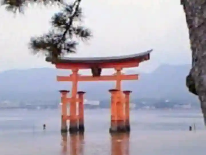 厳島神社の{uncategorized: "未分類", other: "その他", undefined: "問題あり", building: "その他建物", grave: "お墓", sacred_gate: "鳥居", guardian: "狛犬", statue: "像", buddha: "仏像", history: "歴史", nature: "自然", garden: "庭園", animal: "動物", pagoda: "塔", temizu: "手水舎", mountain_gate: "山門・神門", sanctuary: "本殿・本堂", subordinate: "末社・摂社", art: "芸術", scenery: "景色", jizo: "地蔵", ema: "絵馬", goshuin: "御朱印", omikuji: "おみくじ", items: "授与品その他", amulet: "お守り", goshuincho: "御朱印帳", eats: "食事", festival: "お祭り", votive_dance: "神楽", shichigosan: "七五三参", wedding: "結婚式", experience: "体験その他", initially: "初詣", around: "周辺", anti_infection: "感染症対策"}