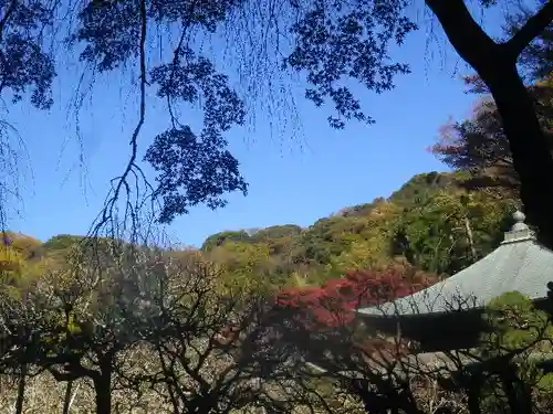 瑞泉寺の景色