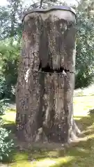 子安神社の自然