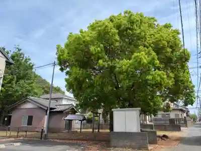 八幡神社(千葉県)