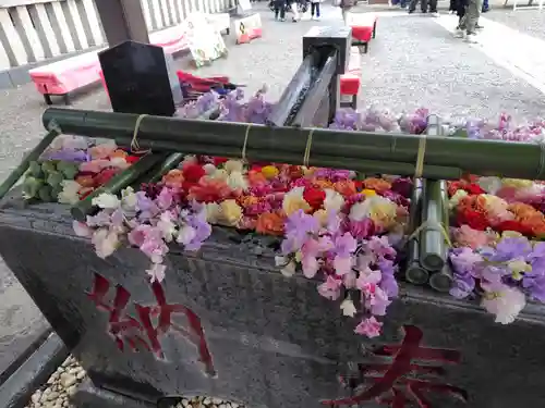 草加神社(埼玉県)