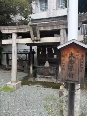 東神奈川熊野神社(神奈川県)