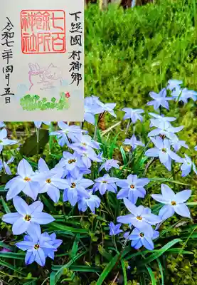 月替り御朱印 4月
『クローバー☘️』