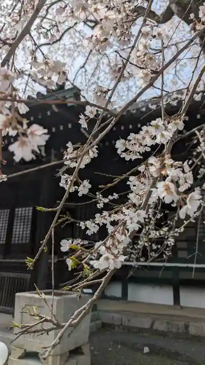 妙満寺(京都府)
