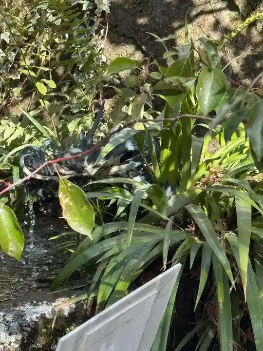 武田神社(山梨県)