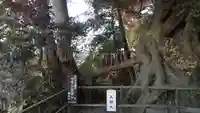 春日神社の自然