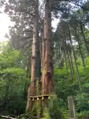 御岩神社の自然