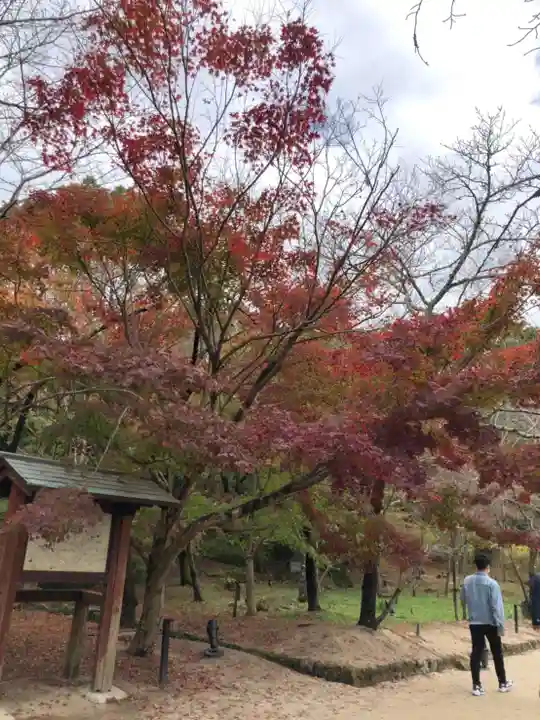 宝満宮竈門神社の自然
