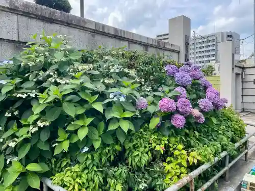 世尊寺(東京都)