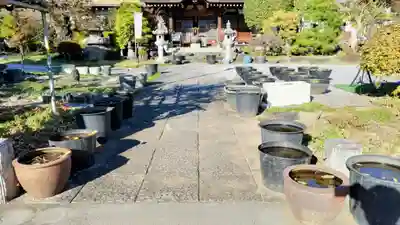 光明寺(埼玉県)