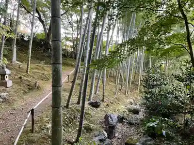 常寂光寺(京都府)