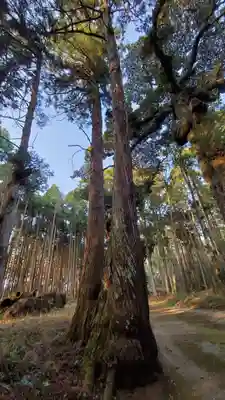 六所神社の自然
