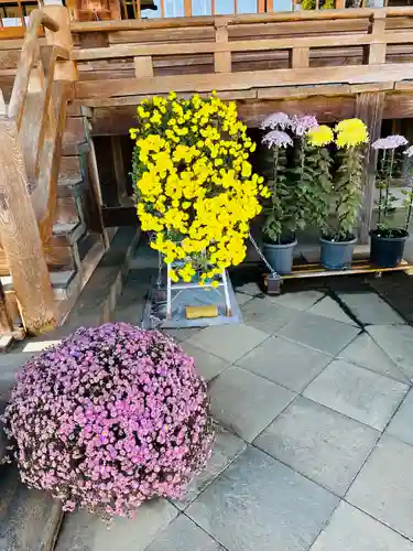 箭弓稲荷神社(埼玉県)