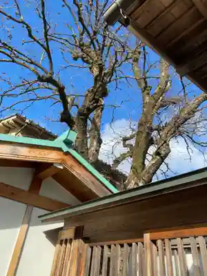 慈眼寺(奈良県)