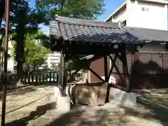 六所神社の手水