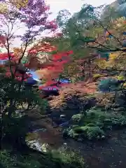 南禅寺(京都府)