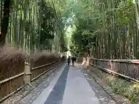 野宮神社の周辺